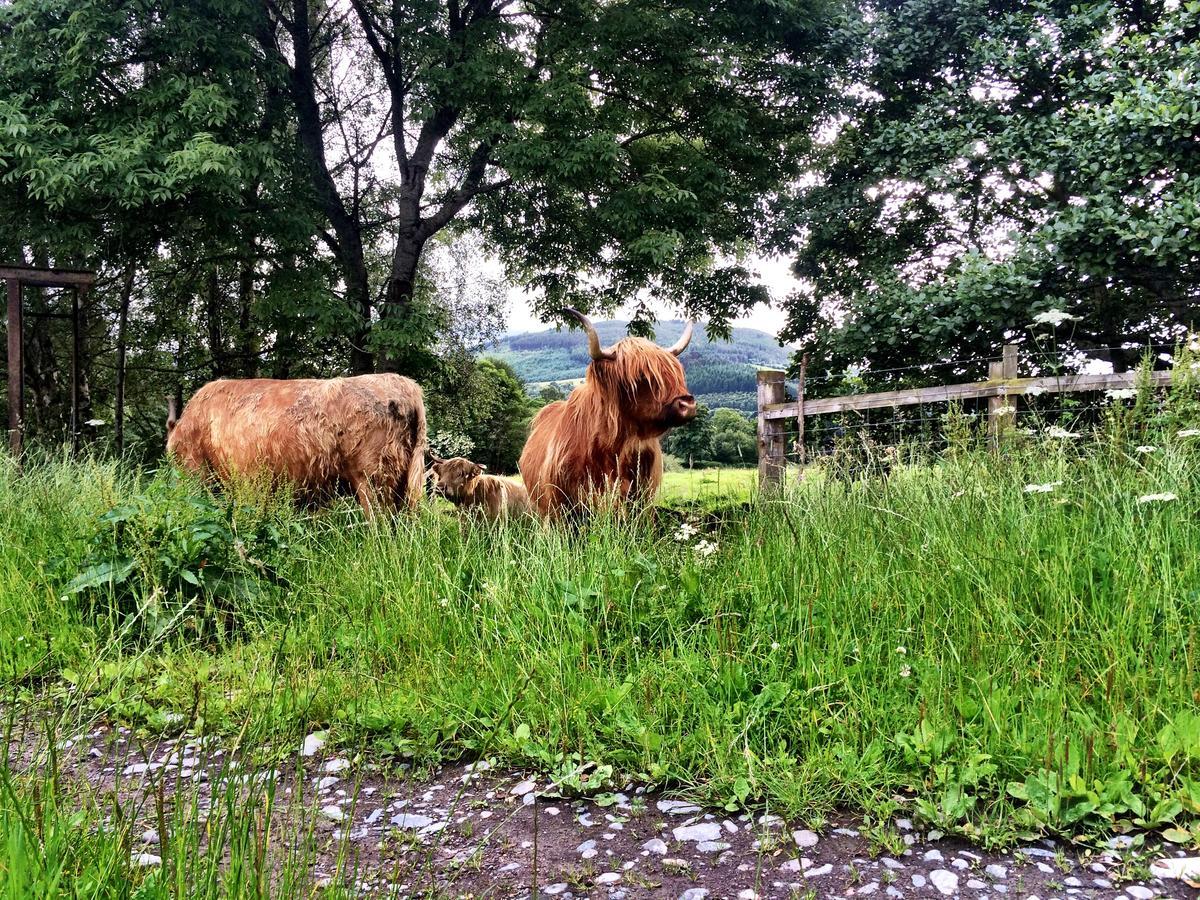 Drumbuie Farm B&B Drumnadrochit Dış mekan fotoğraf
